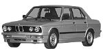 BMW E28 P0A96 Fault Code