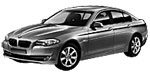 BMW F10 P0A96 Fault Code